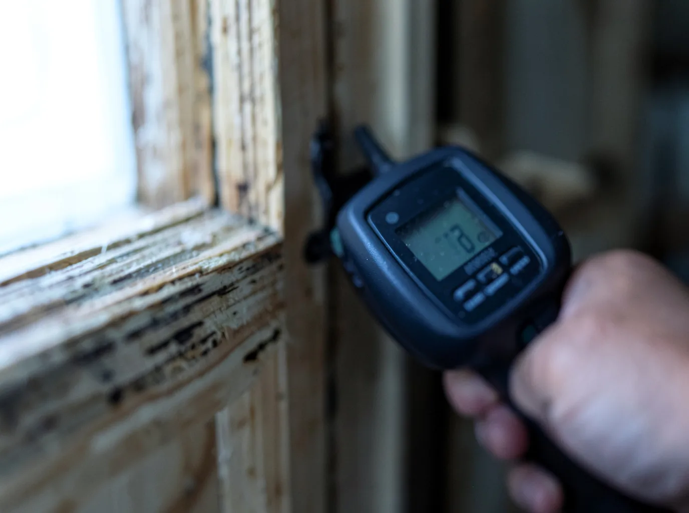Water Damage Restoration Saint Leo, FL FAQs